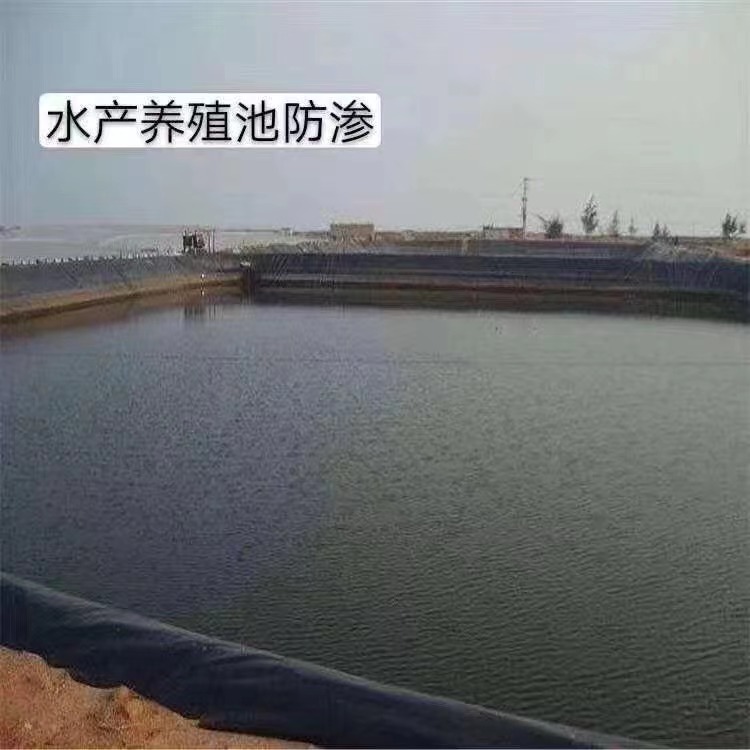 养殖行业选择土工膜的好处