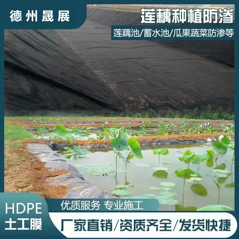 藕池采用防渗膜的好处